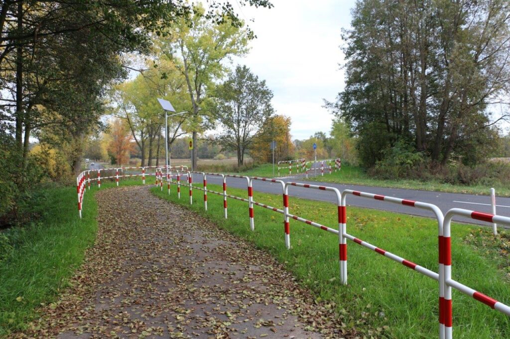 Ścieżka rowerowa przecinająca drogę. Po obu stronach barierki. Na ścieżce pierwsze, jesienne liście.