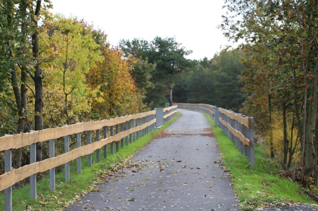 Asfaltowa ścieżka rowerowa biegnąca wzdłuż stalowo-drewnianych barierek. Po obu stronach, na całej długości, widać drzewa.